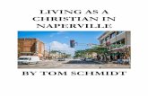 LIVING AS A CHRISTIAN IN NAPERVILLE - Tom Schmidt Blog...Living as a Christian in Naperville: Enjoying the BLESSINGS of Naperville I love Naperville. It is a beautiful city. ... It