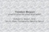 Tendon Repair - COA · – Central slip injury • Leads to loss of active PIP extension • If palmar subluxation of lateral bands Boutonni. è. re deformity develops • Flexion