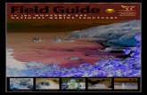 Field Guide to the Monterey Bay National Marine Sanctuary Field Guide to the Monterey Bay National Marine