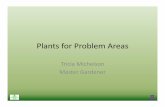 Plants for Problem Areas (2) - University of ArizonaAgastachecana–Texas Hummingbird Mint Description: • Aromatic Perennial • Long bloom time, beautiful flower spikes • May