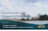 EXECUTIVE SUMMARY - Carmabi Marine Research Station › wp-content › uploads › 2015 › 07 › … · EXECUTIVE SUMMARY The coral reefs of Curaçao represent one of the best reef
