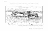 Options for Pasturing Animals - Shopify...OPTIONS FOR PASTURING ANIMALS 3 Differences between a lease and a contract for sale of standing forage If you enter into a pasture lease as