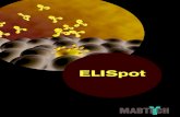 ELISpot - Mabtech AB · The Enzyme-Linked ImmunoSpot (ELISpot) assay is a very sensitive immunoassay, which allows for the detection of secreted analyte at the ... (ConA), which are