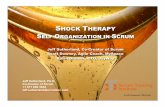 Self Organization Shock Therapy minJAOO 4 Mar …jaoo.dk › dl › micro-agile-cph-mar-2009 › slides › Jeff...HICSS'40, Hawaii International Conference on Software Systems, Big
