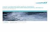 TIDAL STREAM AND WAVE ENERGY COST REDUCTION AND INDUSTRIAL BENEFIT · 2019-11-27 · 3 2. Introduction The UK’s tidal stream and wave energy industries are at a key juncture. The