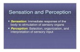 Sensation and Perception - Information Technology rmm2440/ آ  Sensation and Perception Sensation