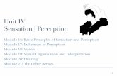 Unit IV Sensation | Perceptionmrsyopsychology.weebly.com/uploads/9/3/1/7/9317682/unit... · 2018-11-07 · I.Basic Principles of Sensation and Perception Objectives: Contrast sensation