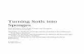 Turning Soils into Sponges - Union of Concerned Scientists › sites › default › files › attach › ... · were averaged. When experiments reported measurements over several