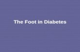 The Foot in Diabetes - Chiropody Podiatry Ireland in Diabetes.pdf · An ABPI should be carried out by an experienced practitioner. Both brachial readings should be taken and the higher