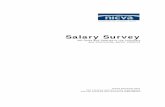 Salary Survey 2000 - RES01 - NICVANorthern Ireland works within the voluntary sector. In 1997 there were 33,550 paid individuals working for voluntary and community organisations accounting