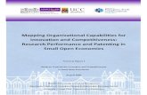 Mapping Organizational Capabilities for Innovation and ... · Mapping Organizational Capabilities for Innovation and Competitiveness: Research Performance and Patenting in Small Open