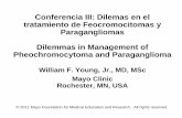 Conferencia III: Dilemas en el tratamiento de ...A family history of pheochromocytoma An incidentally discovered adrenal mass Hypertension and atypical diabetes mellitus Pressor response