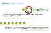 Forestry activities of the FAO Regional Office for Europe ...€¦ · via sustainable climate adaptive forestry investments and fuelwood energy efficiency with effective involvement