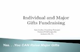 Individual and Major Gifts Fundraising€¦ · 1. Fundraising is as critical to your organization as the service you provide. 2. Annual giving is where it all begins. 3. Planning