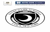 International Student Brochure - notredameutica.org › sites › default › files › ND International Bro… · International students must demonstrate strong English skills (TOEFL