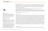 RESEARCHARTICLE DevelopmentofMicrosatellite Markersand ... · gloeosporioides,Phythophtora spp.,Alternariaspp.,Penicillium spp. andPseudocercospora angolensis [1–3].InEthiopia,