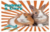 Alabama Cooperative Extension System Rabbit & Cavy · 4-H Rabbit & Cavy Showmanship Guide 5 Step Procedure 1. Carry rabbit to judging table and pose it. Rabbit carry: To properly