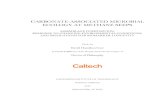 CARBONATE-ASSOCIATED MICROBIAL ECOLOGY AT METHANE …thesis.library.caltech.edu/9776/1/Case_David_2016_Thesis... · 2016-05-27 · CARBONATE-ASSOCIATED MICROBIAL ECOLOGY AT METHANE