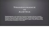 Transhumance in Austria - Community College of … › ... › TranshumanceinAustria.pdfTranshumance in Austria Transhumance is the seasonal movement of people with their livestock