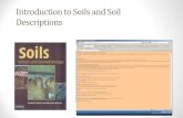 Introduction to Soils and Soil Descriptions · Inceptisols [ept] “embryonic soils” Soils with some diagnostic horizon or horizons, poorly expressed. A horizon is usually pale