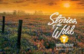 LEGENDS AND FOLK TALES OF TEXAS’ WILDFLOWERS · 2018-11-12 · atching Texas’ prairies and hillsides light up with seasonal wildflowers is a delight for the senses—a farewell