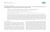 TranscriptionalAnalysis Reveals KeyGenes inthePathogenesis ...downloads.hindawi.com/journals/acp/2020/6128341.pdf · The gingiva was ﬁrm, including multiple blood ves-sels and nerves