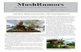 MushRumors - Northwest Mushroomers Association › newsletters › jan12newsletter.pdf · A good comparison of the two species can be seen on adjacent pages in Alexander Smith’s
