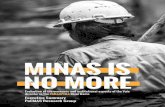 Minas is no more: Evaluation of the - UFJF · Minas is no more: Evaluation of the economic and institutional aspects of the Vale disaster in the Paraopeba River basin Executive Summary