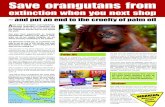 Save orangutans from - api.sg · Save orangutans from extinction when you next shop – and put an end to the cruelty of palm oil Atrue story of corruption, over-exploitation, merciless