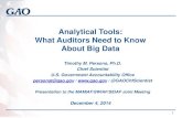 Analytical Tools: What Auditors Need to Know About Big Data · 2019-08-05 · Analytical Tools: What Auditors Need to Know About Big Data 1 Timothy M. Persons, Ph.D. Chief Scientist