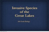 Invasive Species of the Great Lakeskvillepskms.sharpschool.com/UserFiles/Servers... · introduction of brown trout to New Zealand are probably reversible. Unlike brook and rainbow