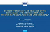 Support of bioenergy and advanced biofuel technologies in the … › T Schleker EC DG RTD SUPPORT FOR BIEN… · Support of bioenergy and advanced biofuel technologies in the Horizon