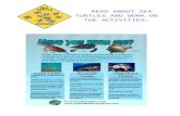 READ ABOUT SEA TURTLES AND WORK ON THE ACTIVITIESbridgets-english-pages.com/coursseconde/sea-turtles.pdf · beach. Remove recreational equipment, such as lounge chairs, cabanas, umbrellas,