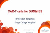 CAR-T cells for DUMMIES - Janssen Medical Cloud · CAR-T cells –the future • Bispecific CARs • Regulatable CARs • Use of fully human CARs • CARs that evade the tumour microenvironment