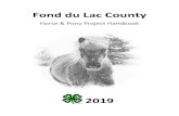 Fond du Lac County › files › 2019 › 02 › ... · Fond du Lac County 4-H Horse Project . Guidelines. 1. The board will meet once a month, prior to the general membership meeting,
