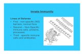Biology 318 Specific Human Defensesguralnl/gural/318innatedefens.pdf · Lines of Defense • First - non-specific (NS) barriers, normal flora • Second – Non-Specific immune cells,