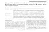 The Role of Electroconvulsive Therapy (ECT) in Bipolar ... · Electroconvulsive therapy (ECT) has a unique place in the therapeutic armamentarium for BD; it has been shown useful