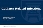 Catheter Related Infections Portal/Information...management of central lines and urinary catheters • Goals: – Reduce overall line days ... Lines/Tubes/Drains MPage Any documented