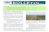 Irrigated Chickpea Management - Pulse Australia › storage › app › media › crops › 2010_SPB...Crop establishment: Use good quality seed and germination test retained seed