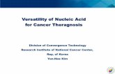Versatility of Nucleic Acid for Cancer Theragnosis€¦ · Research Institute of National Cancer Center, Rep. of Korea Yun-Hee Kim Versatility of Nucleic Acid for Cancer Theragnosis.