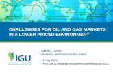 CHALLENGES FOR OIL AND GAS MARKETS IN A LOWER PRICED ... YPFB Oil a… · CHALLENGES FOR OIL AND GAS MARKETS IN A LOWER PRICED ENVIRONMENT ... • Improve the competitiveness of gas