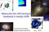 Molecular tori, BH fueling & feedback in nearby AGN · Françoise Combes. Observatoire de Paris July 2019. Molecular tori, BH fueling & feedback in nearby AGN. N1433. N1566. N613.