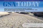 Wind erosion in the Qaidam basin, central Asia: Implications for …rvh97413/publications/Kapp2011GSAtoday.pdf · 2013-03-01 · 4 APRIL/MAY 2011, GSA TODAY Wind erosion in the Qaidam