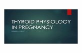 THYROID PHYSIOLOGY IN PREGNANCY - FLAME - HOME › uploads › 3 › 8 › 4 › 4 › 38447721 › ...Feb 14, 2015  · THYROID HORMONE FUNCTION u Assists in regulation maternal and