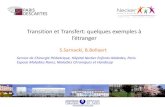 Transition et Transfert: quelques exemples à l’étrangerhopital-necker.aphp.fr/.../files/2014/08/N°18-Transition-Transfert-SS.p… · Our transdisciplinary team of social workers,