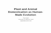 Plant and Animal Domestication as Human- Made Evolution AIBS-NABT... · Time Frame of Domestication z Only the earliest domesticated crop remains are listed y Uncertainty as to the