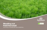 Weeding out Field Horsetail - Landcare Research€¦ · Weeding out Field Horsetail YOUR GUIDE TO MANAGING FIELD HORSETAIL. ARC website – Noogoora burr Background Field horsetail
