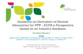 Guidance on Derivation of Dermal Absorption for PPP - ECPA's Perspective … · 2019-01-18 · Guidance on Derivation of Dermal Absorption for PPP - ECPA's Perspective based on an