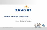 SAVOIR Industrial Consultation · 2015-10-27 · ESA UNCLASSIFIED – For Official Use Terraillon/Magistrati| SAVOIR Industrial Consultation| ADCSS2015| 20/10/2015| Pag. 2 Specification