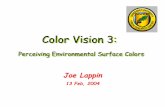 Color Vision 3 - Vanderbilt University · 2004-02-14 · 2 Important Color Vision Capabilities Surface colors: A principal function of color vision is for perceiving object materials.
